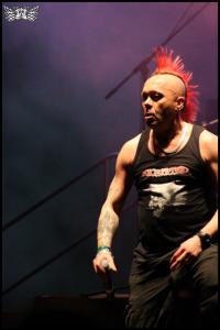 The Exploited ()